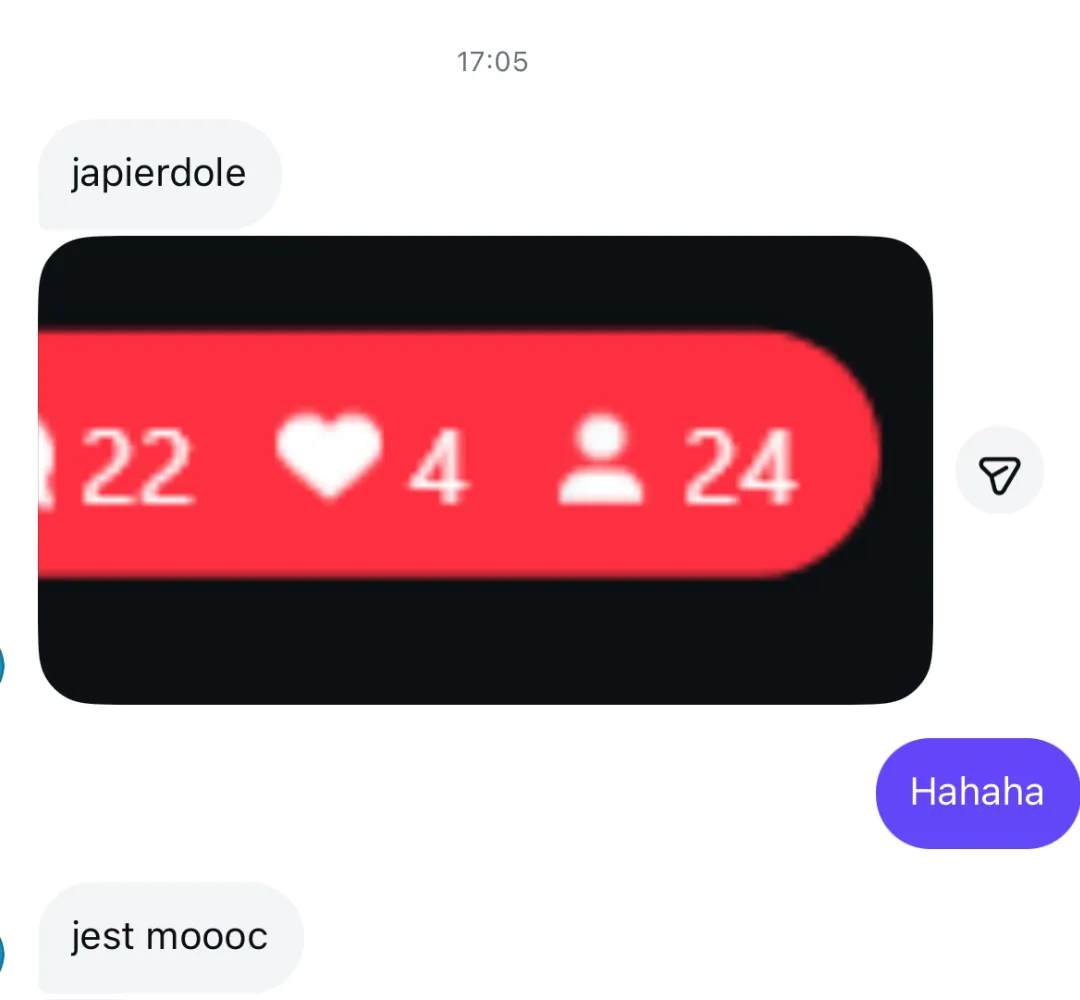 Dowód skuteczności Meta Ads w branży fitness - screen z konwersacji